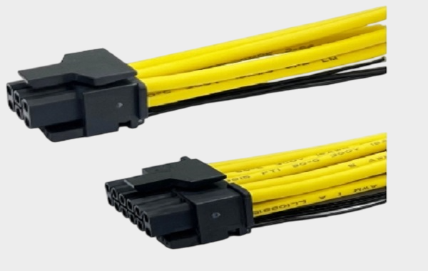 1754880961681993.png BellWether (18).png