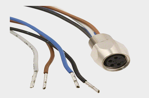 1766041717944230.png 2.png