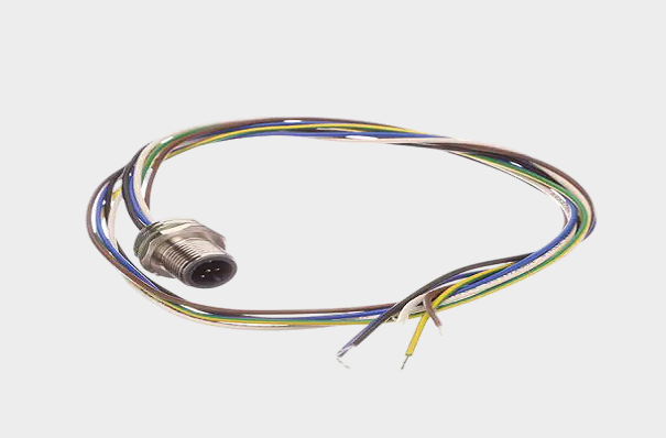 1766041761298832.png 8.png