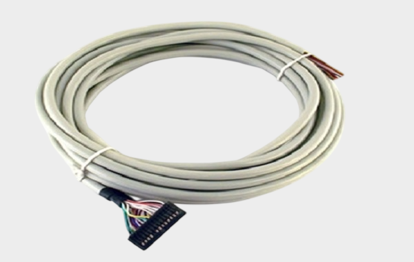 1766546121502093.png 4.png