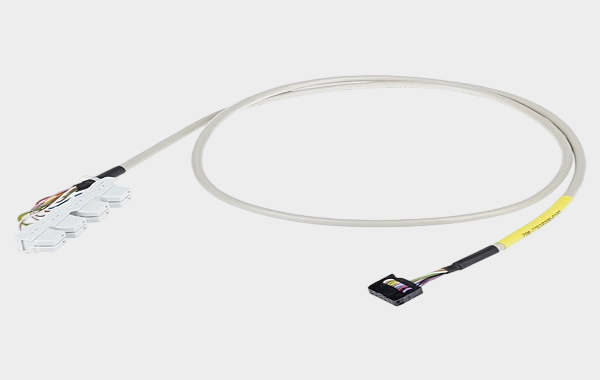 1766632650917401.png 6.png