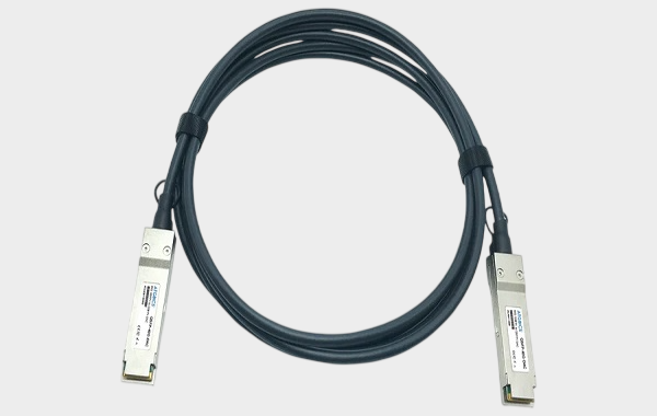 1770090402229509.png 5.png