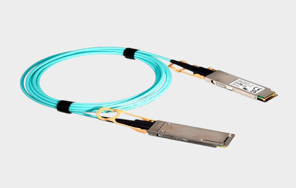 1770095837107932.png 3.png